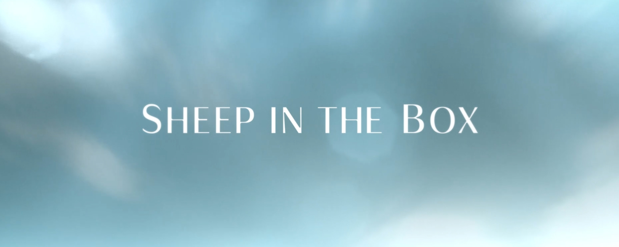 Sheep in the Box