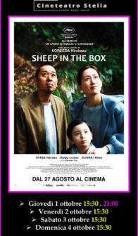 Sheep in the Box