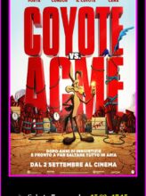 Coyote vs. Acme
